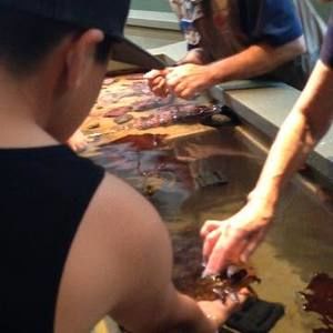 Meet your Posher, Sonia